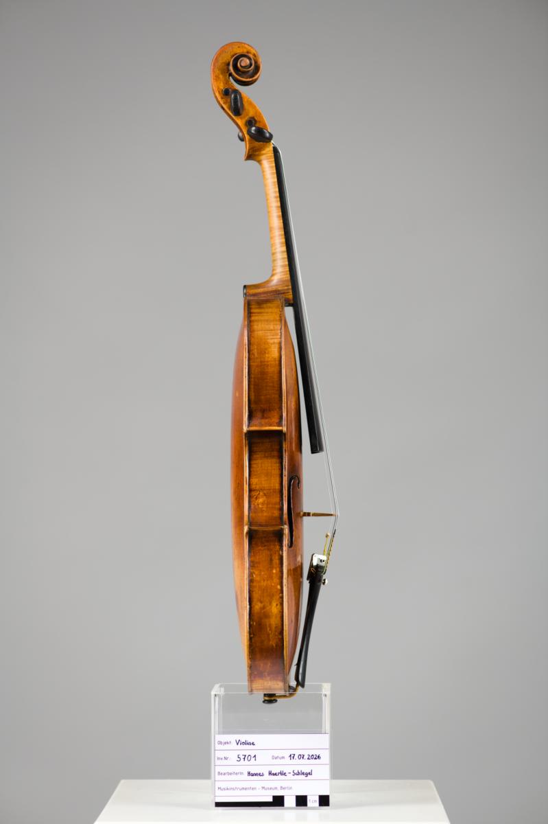 Violine