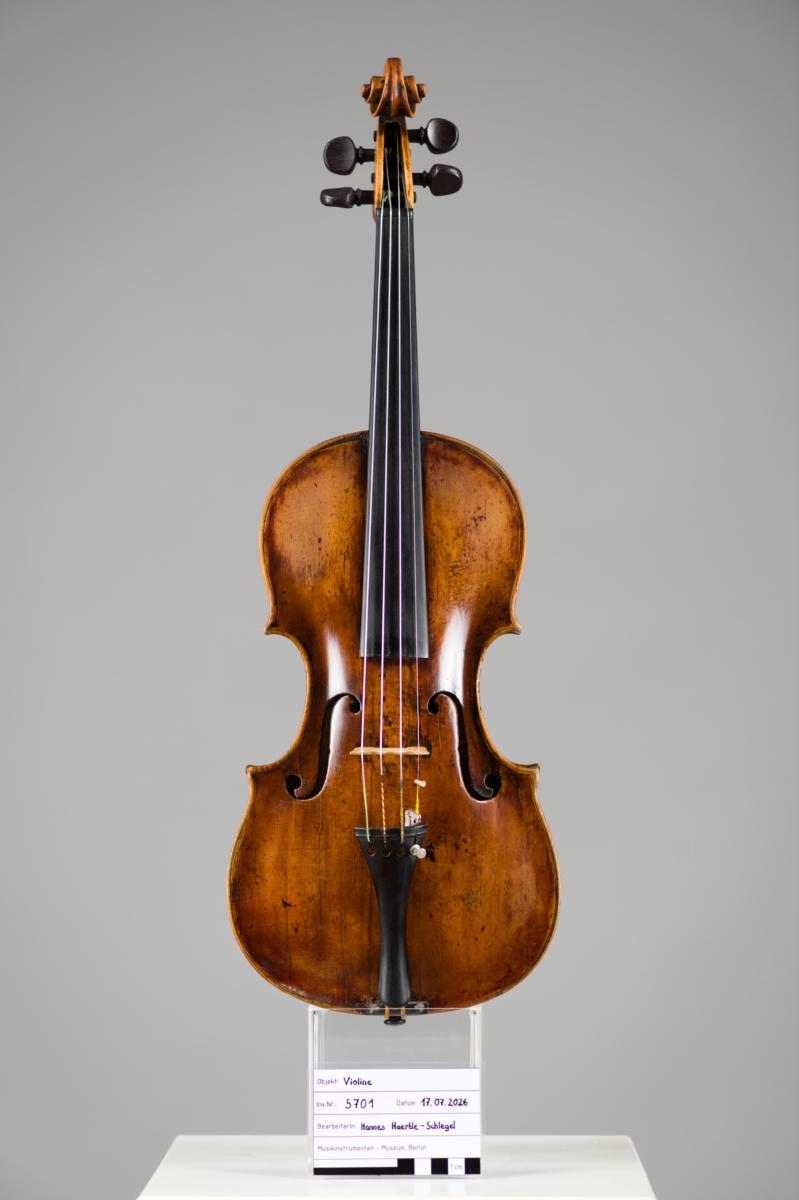 Violine