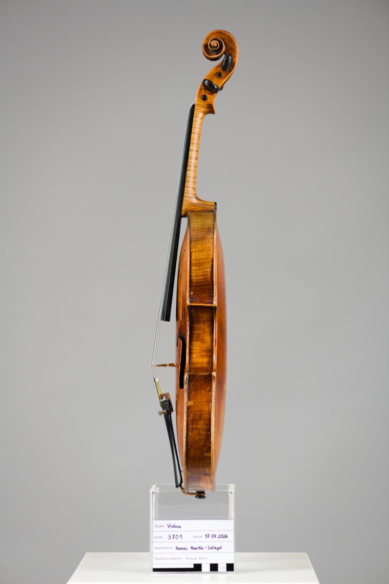 Violine