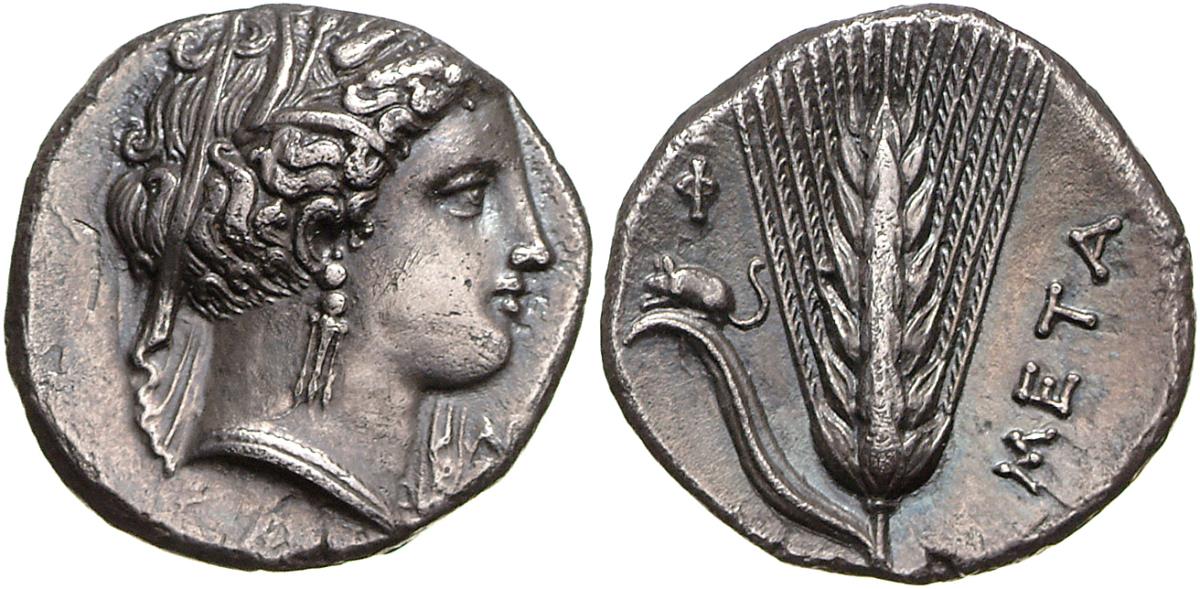 Metapont
