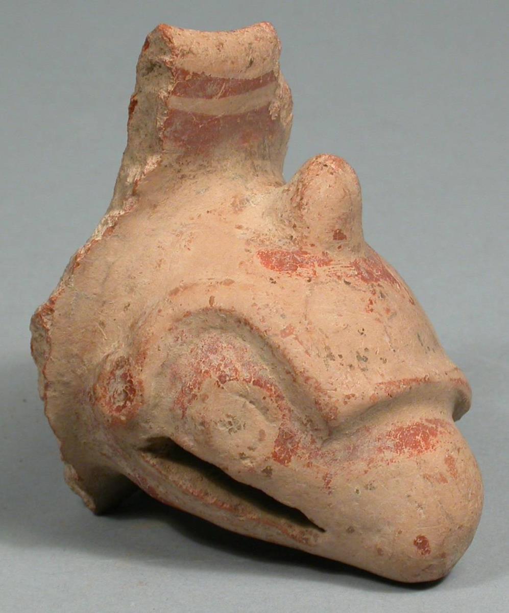 "Vogelkopf"