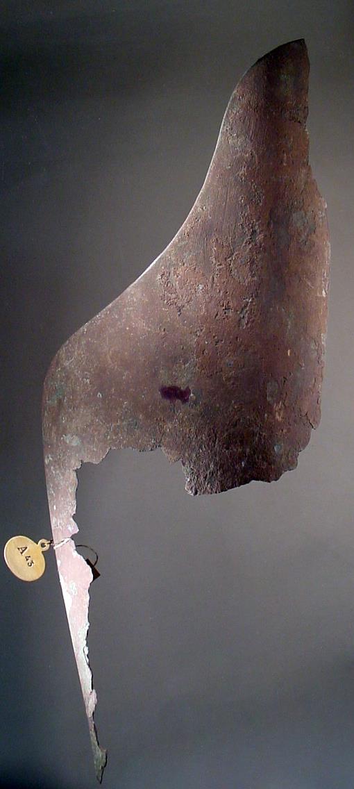 Beinschiene