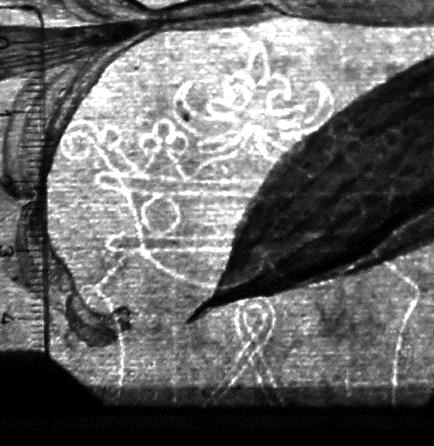 Iberische Schwertlilie, Maiglöckchen und Tazetta-Narzisse