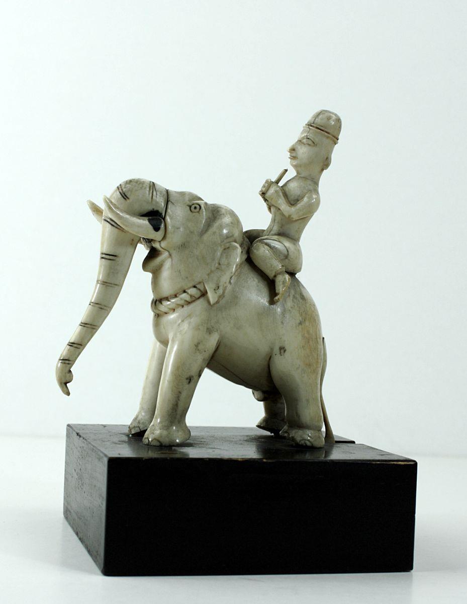 Elefant mit Reiter