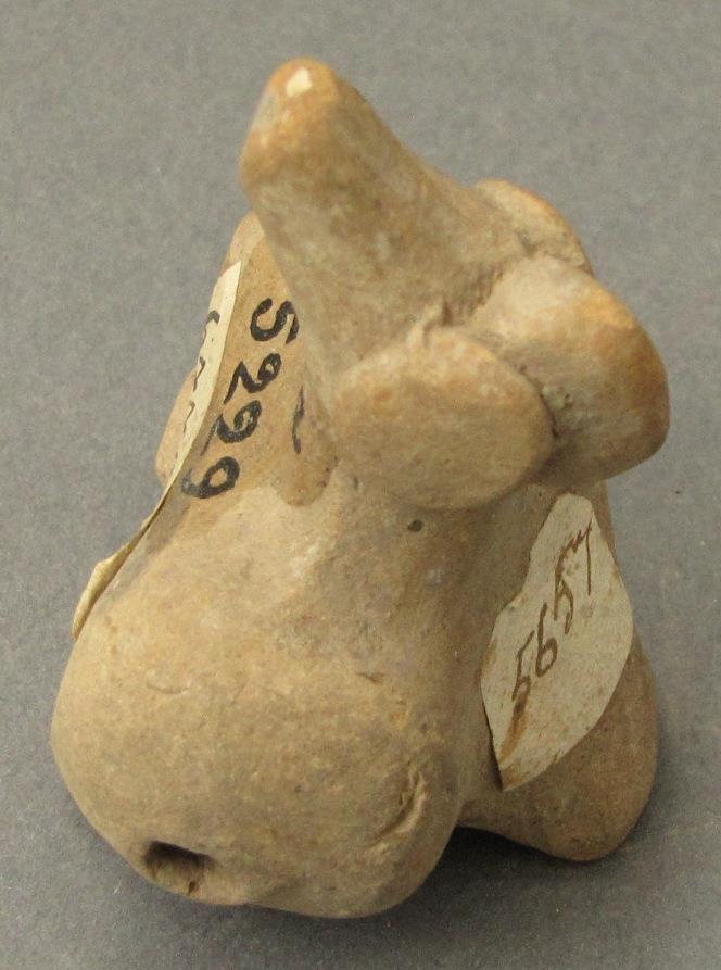 IV Ca 5229