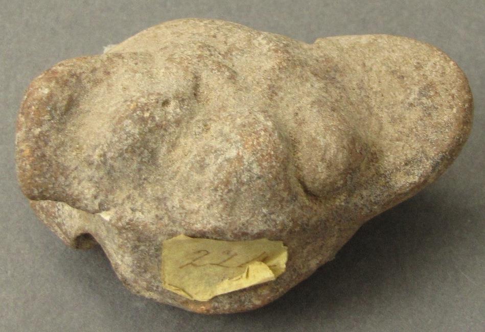 IV Ca 5185 c