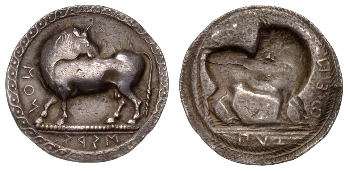 Siris und Pyxus