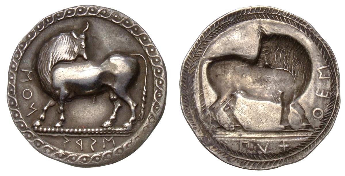 Siris und Pyxus