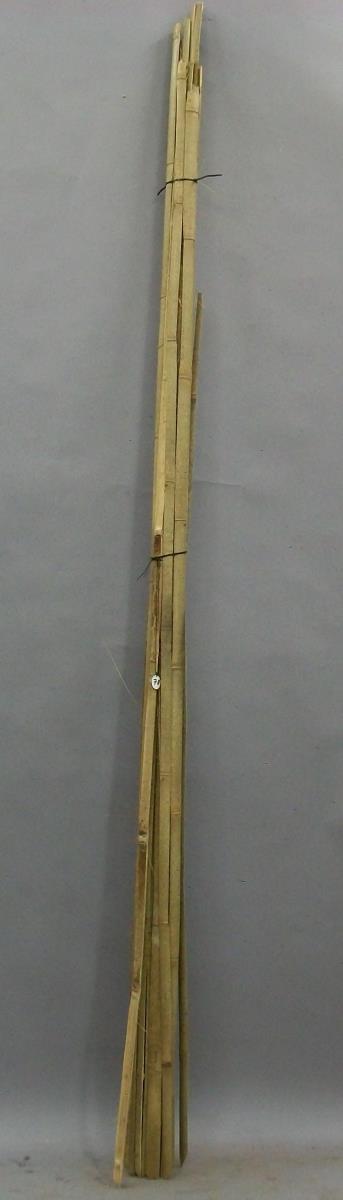 VI 57956 a