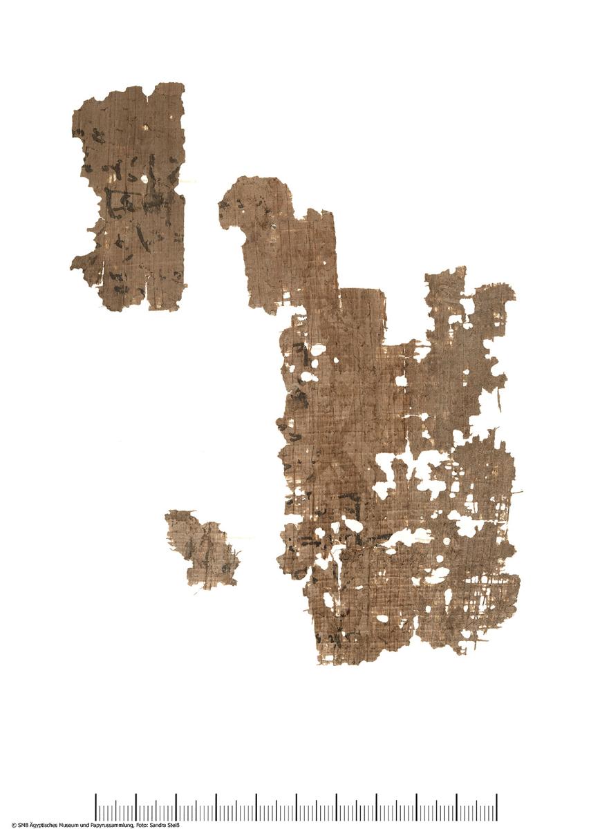 Hieratischer Papyrus mit einer Version vom "Buch vom Tempel"