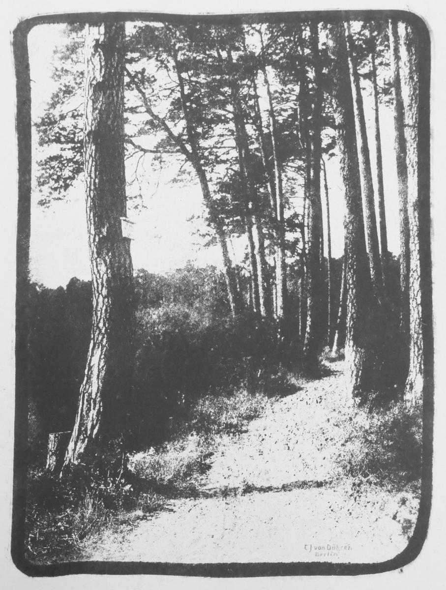 Waldweg