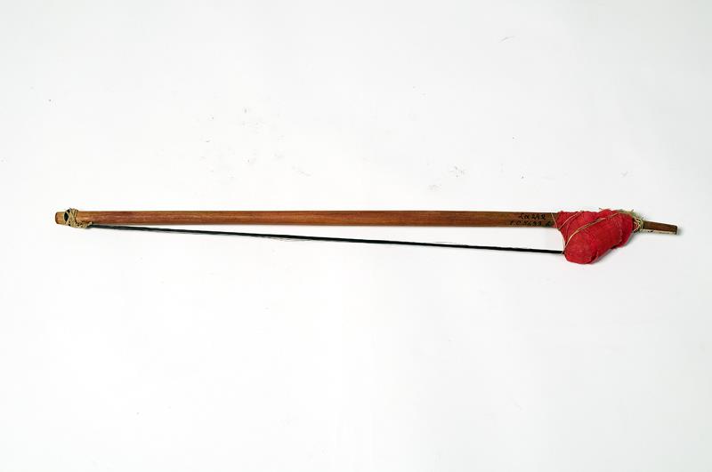 sarangi (sindhi sarangi)