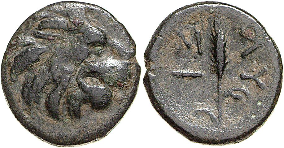 Lysimacheia