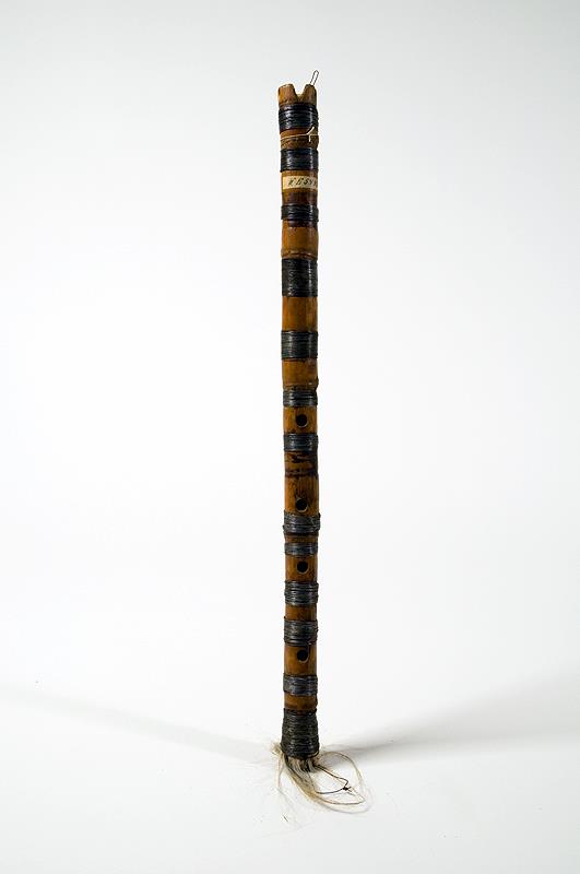 III E 5448