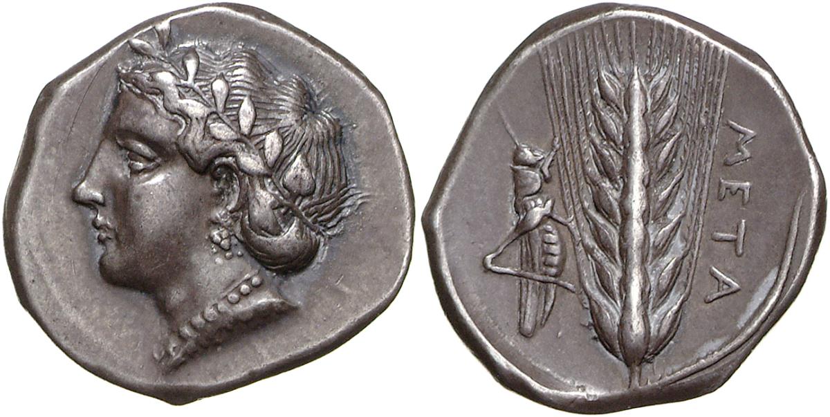 Metapont