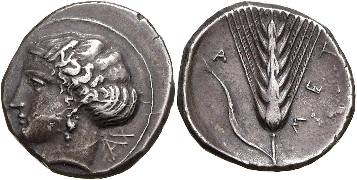Metapont