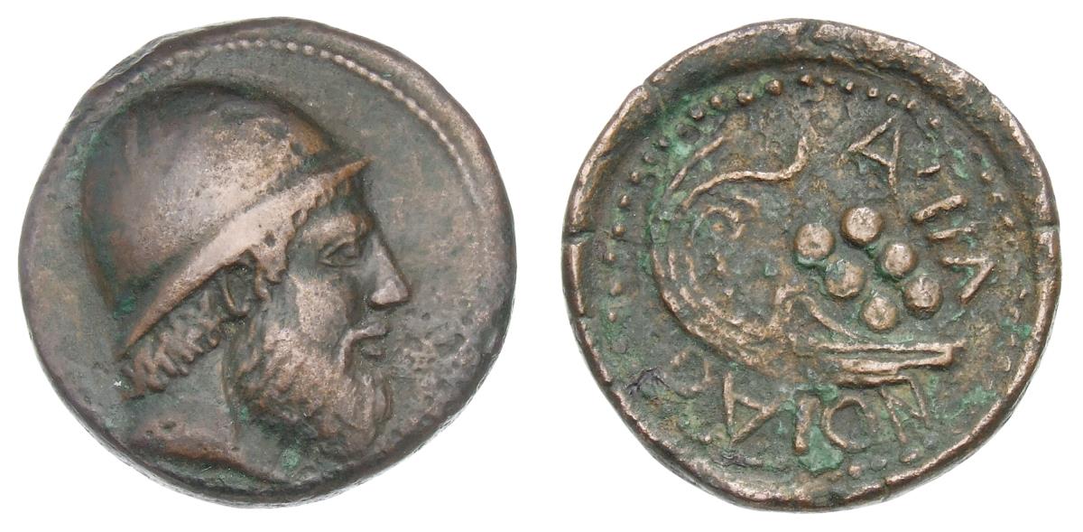 Lipara