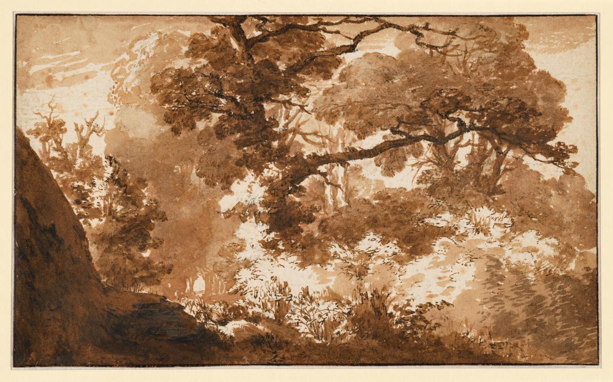 Waldlandschaft