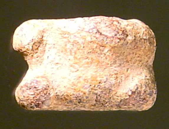 Kleiner Astragal