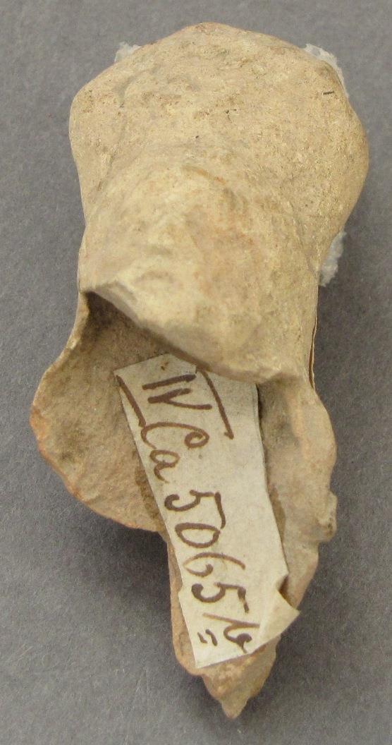 IV Ca 5065 b