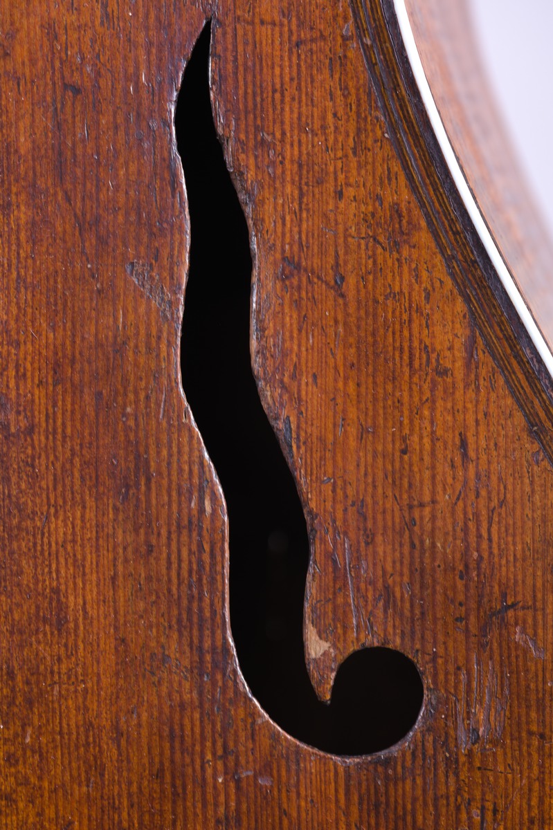 Bass-Viola da gamba