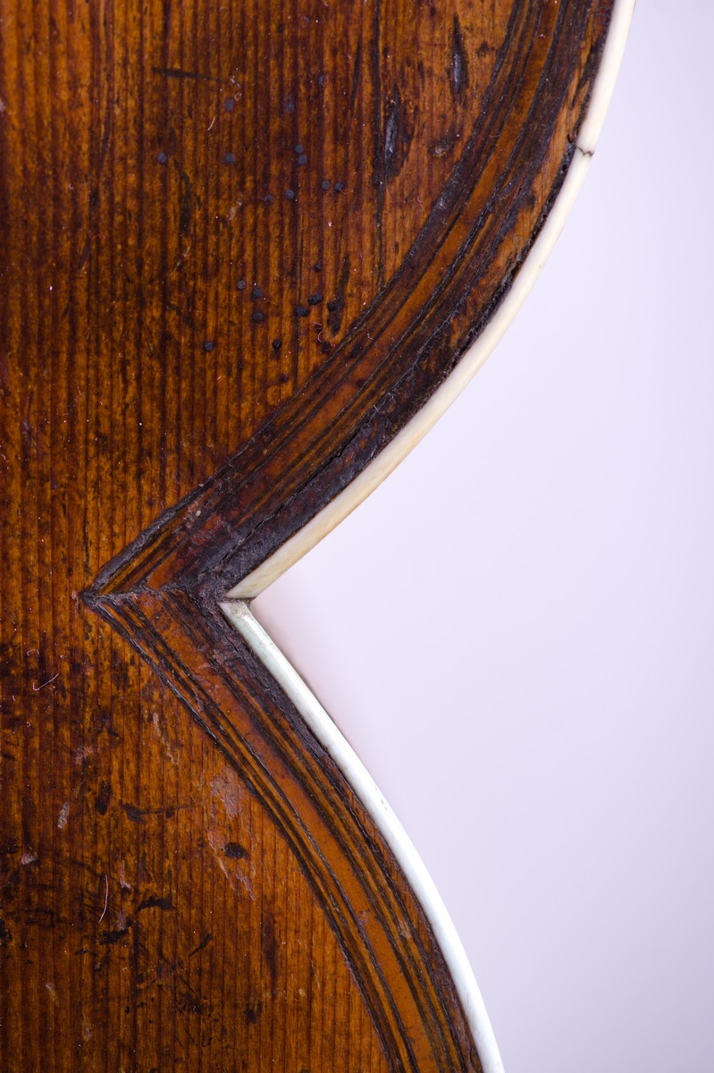 Bass-Viola da gamba