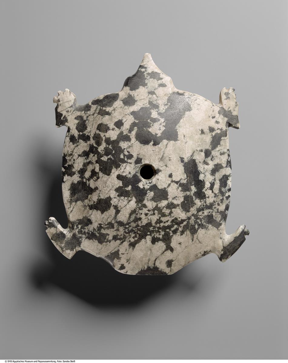 Keulenkopf (?) in Gestalt einer Schildkröte