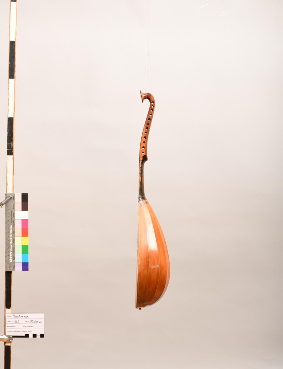 Pandurina