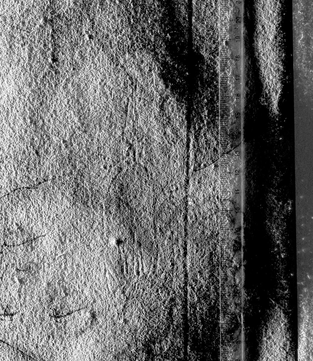 Bildnis des Conrad Weiß aus Rottweil