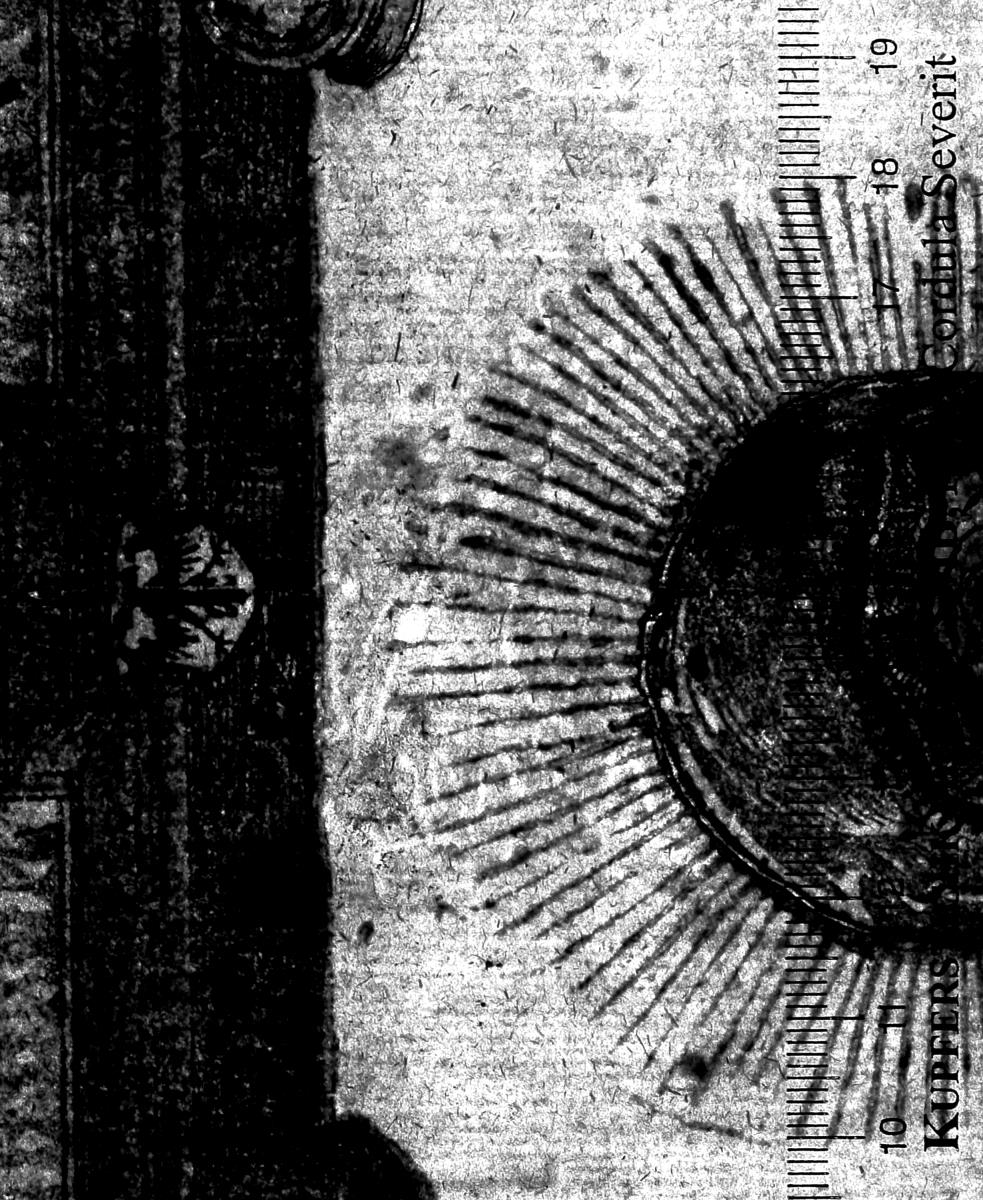 Die schöne Maria von Regensburg