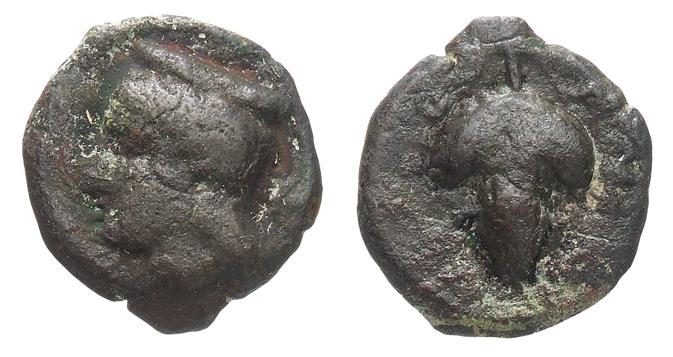 Tauromenion