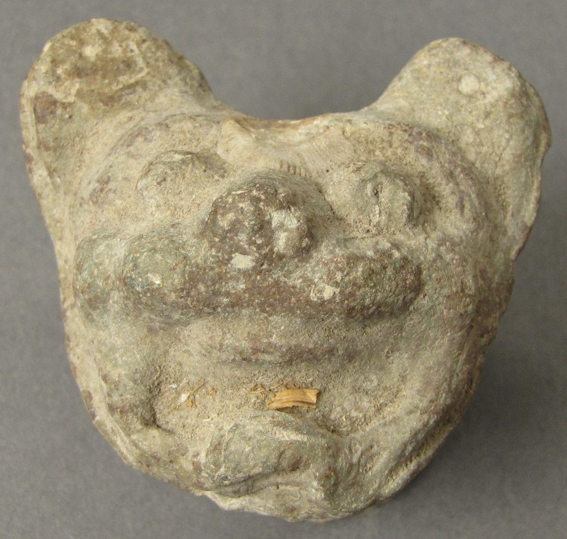 IV Ca 5193 f