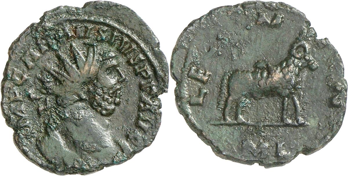 Carausius