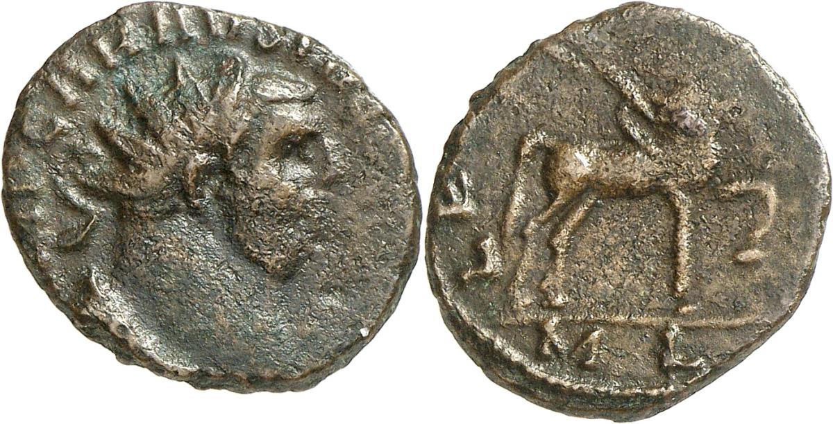 Carausius