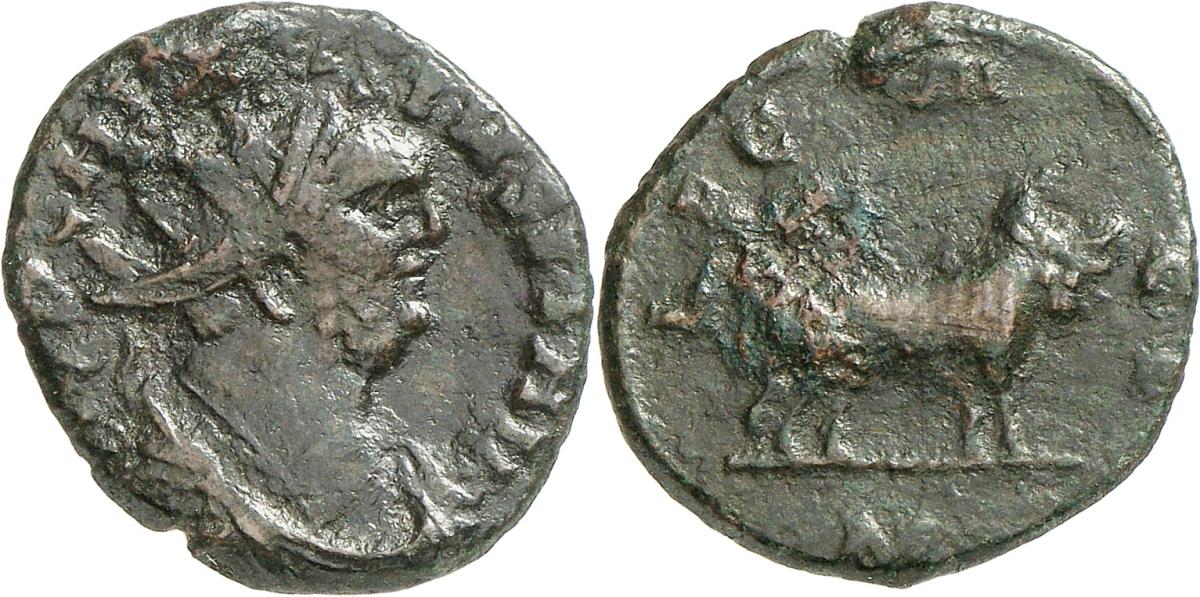 Carausius