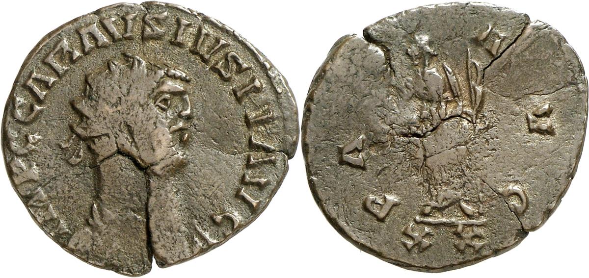 Carausius