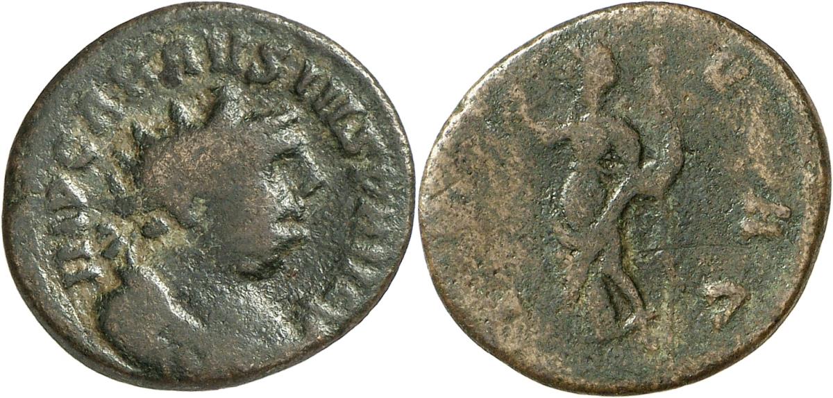 Carausius
