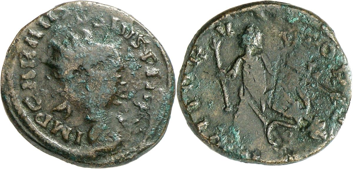 Carausius