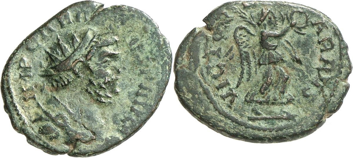 Carausius