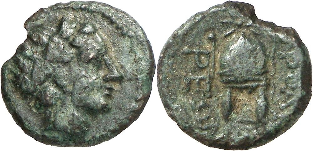 Orthagoria