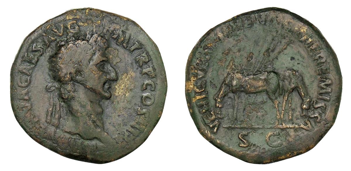 Nerva