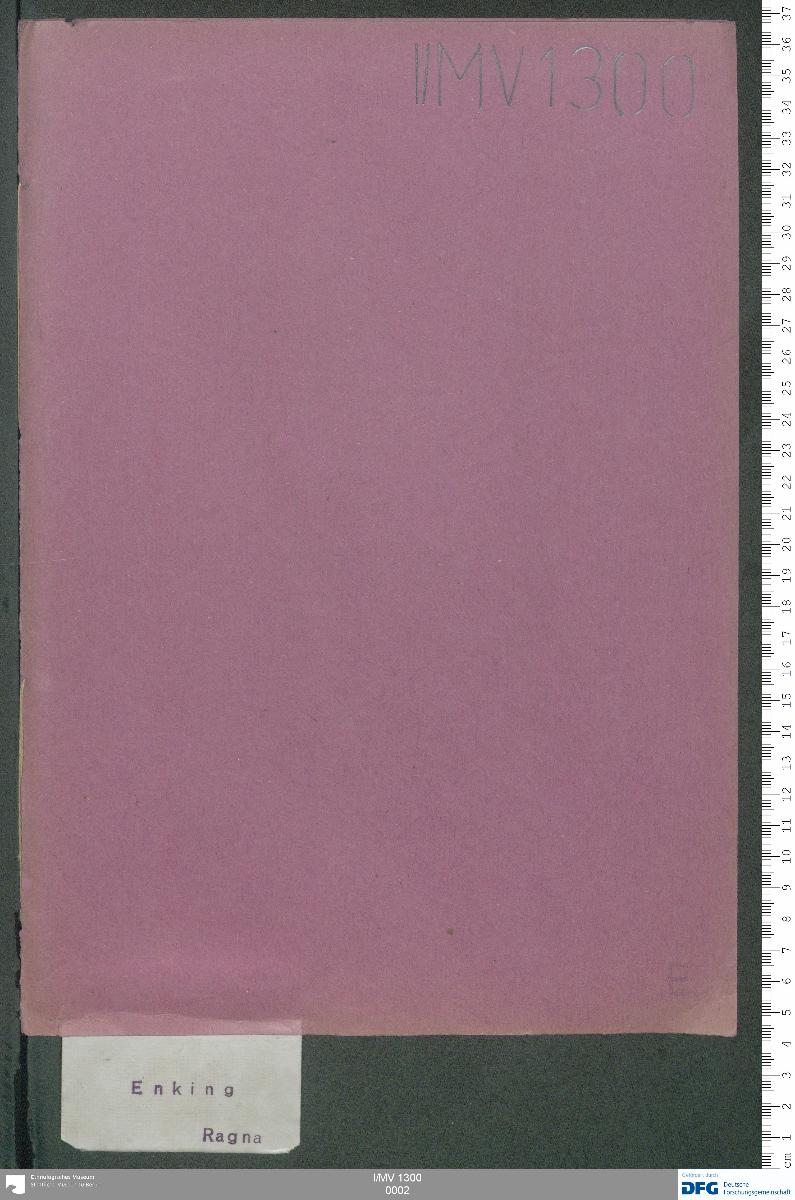 I/MV 1300
