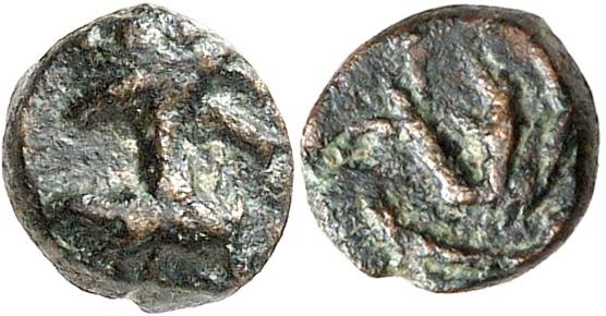 Palmyra