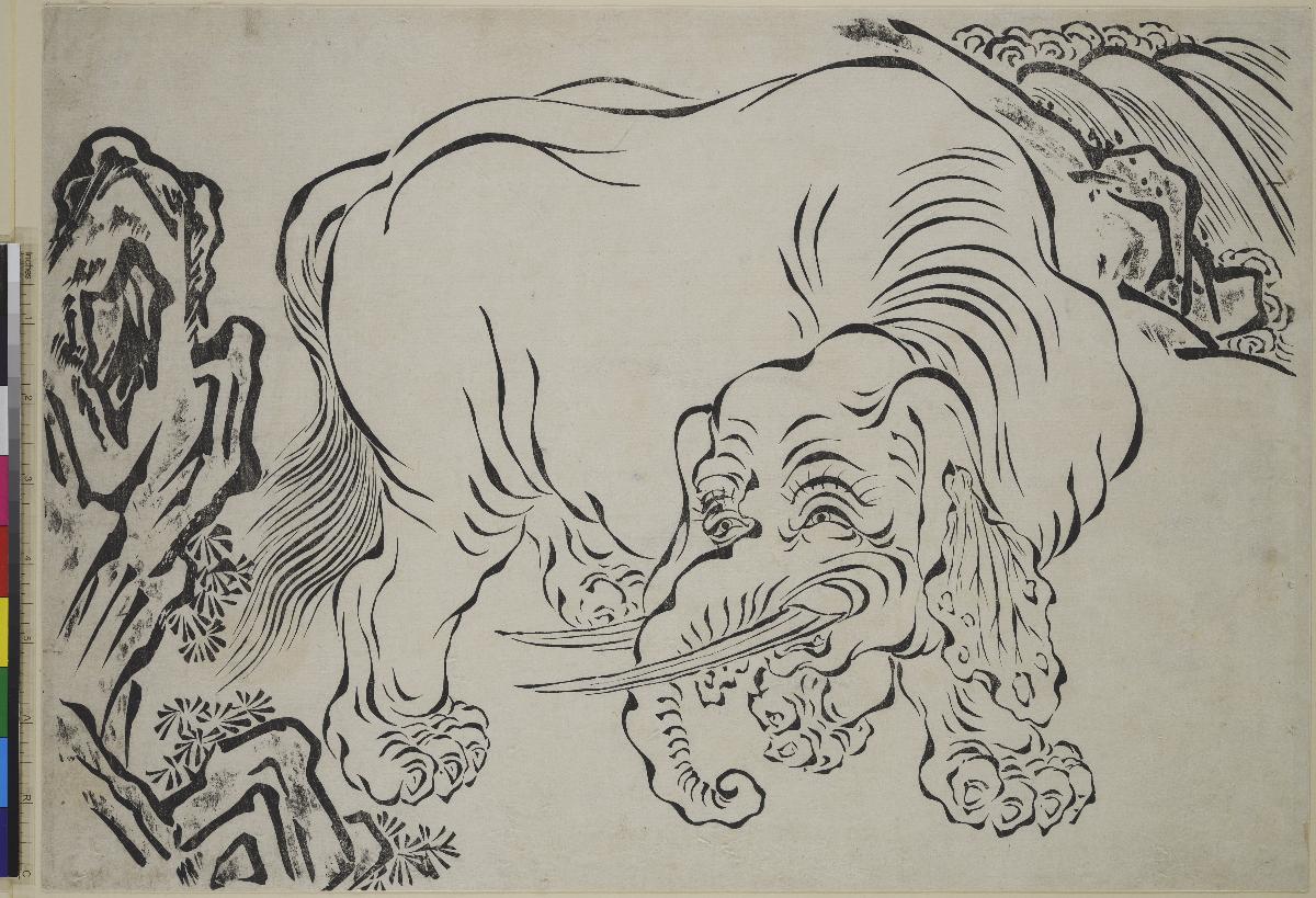 Elefant