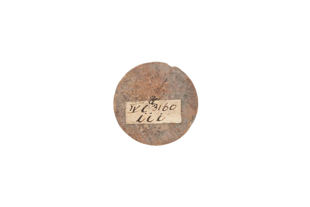 IV Ca 3160 iii