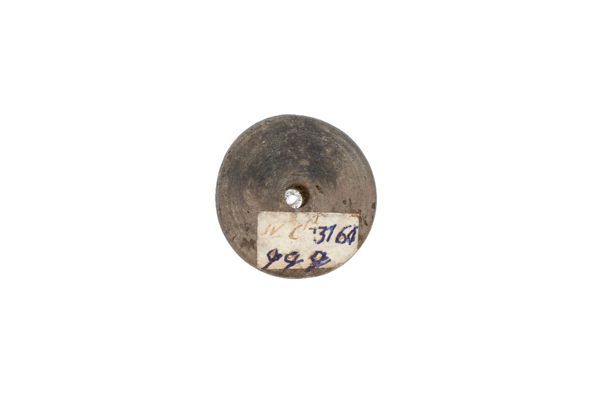 IV Ca 3160 qqq