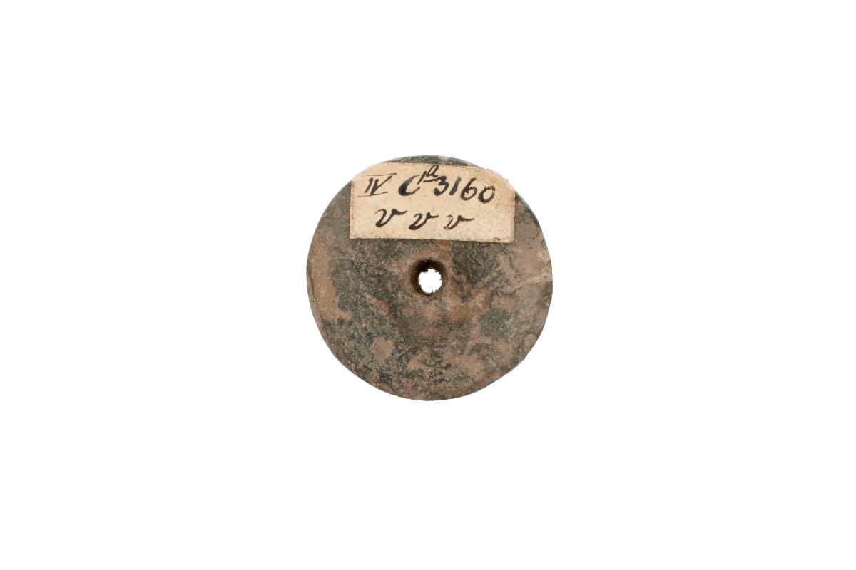 IV Ca 3160 vvv