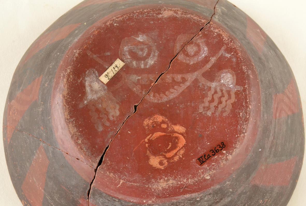IV Ca 3638