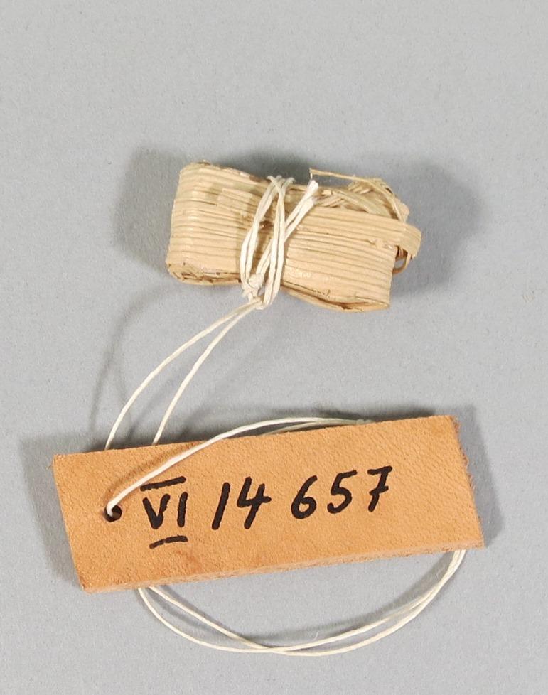 VI 14657