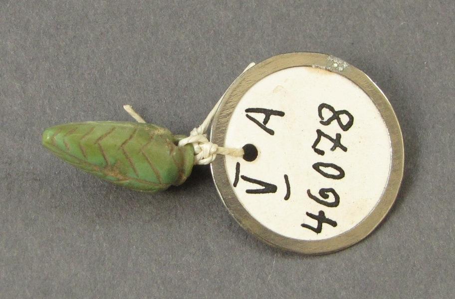 V A 46078